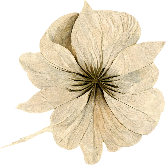 Beige Retro Flower Cutout