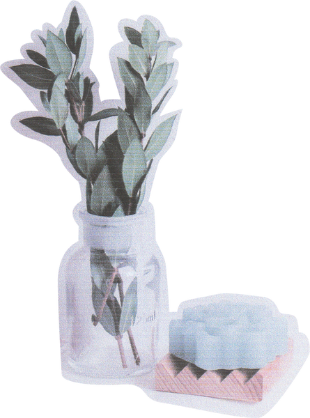Scanned Cutout Leaves and Soap
