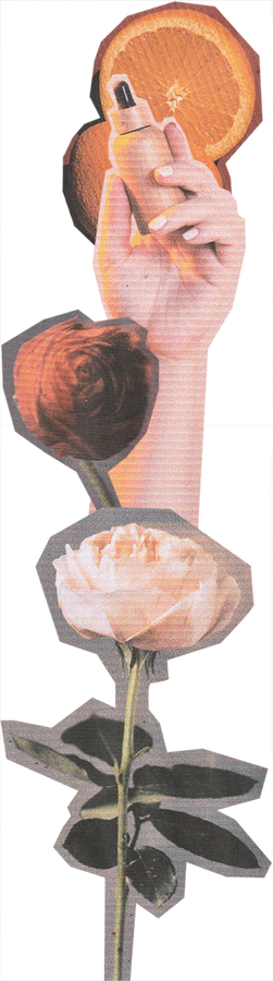 Scanned Cutout Skincare and Flowers Collage