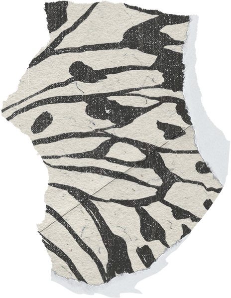 Textured Butterfly Print Scrap
