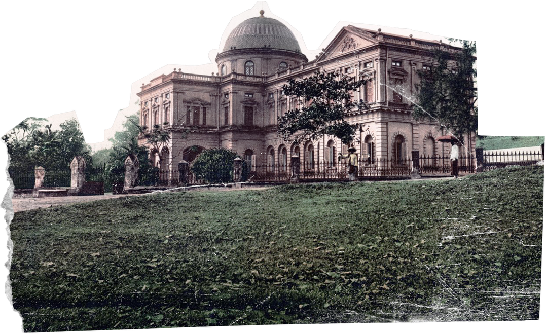 Singapore Museum Cut Out