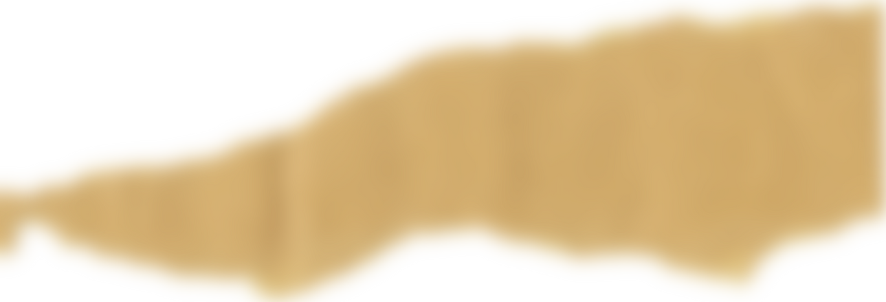 Ripped Kraft Paper