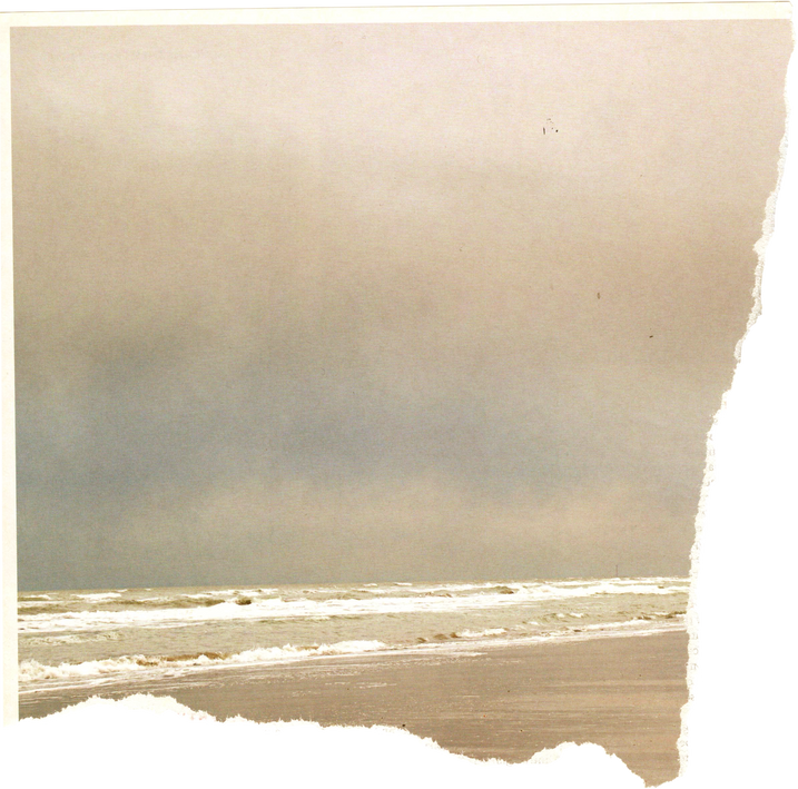 Rip Paper with Ocean View