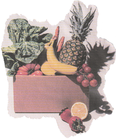 Scanned Cutout Fruits